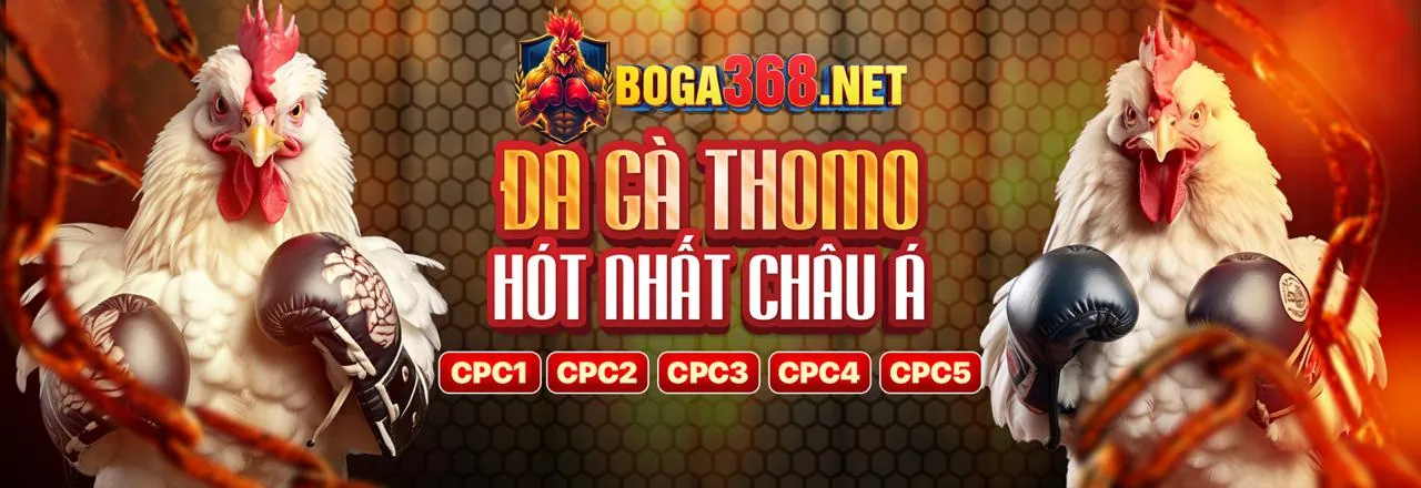 Bảo mật dữ liệu trên Miso88 Khuyến Mãi