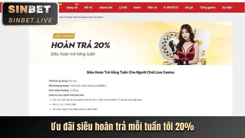 Biểu ngữ hoàn trả cược hàng tuần tại MISO88